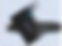 Syrphus-UAV: Advanced Prototype (Syrphus "Io")